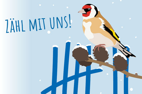 Stunde der Wintervögel in Österreich